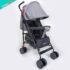 Coche trenton Gris
