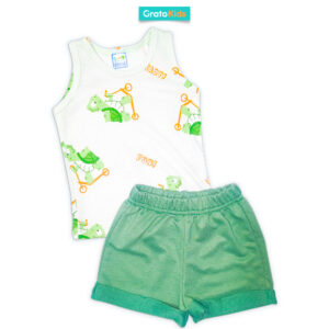 Conjunto tortuga verde