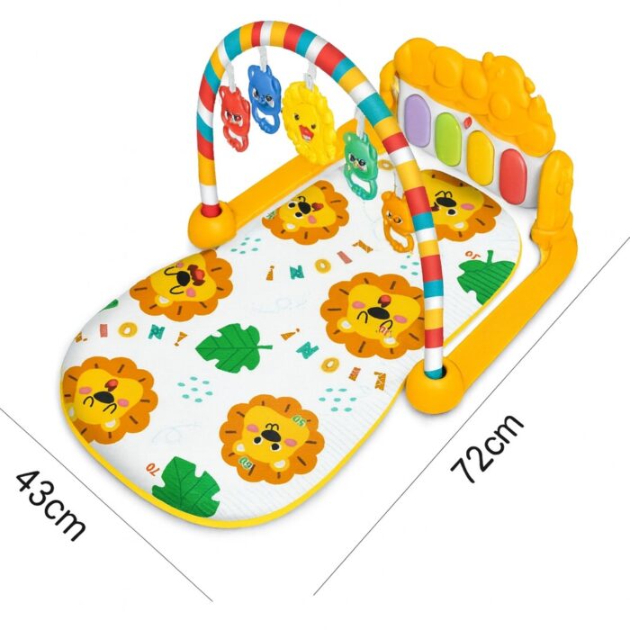 WhatsApp Image 2025-09-12 at 11.24.07 AM